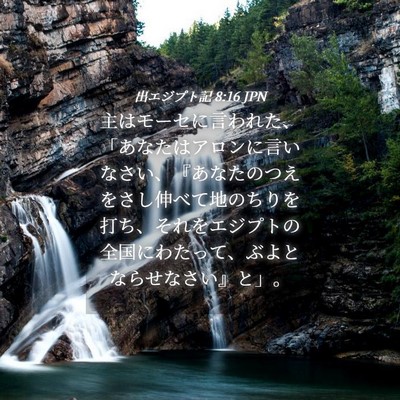 Picture 04 - 出エジプト記 8:16 JPN - 主はモーセに言われた、「あなたは - Bible Verse Picture