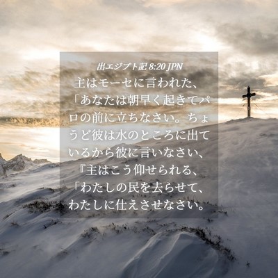 Picture 04 - 出エジプト記 8:20 JPN - 主はモーセに言われた、「あなたは - Bible Verse Picture