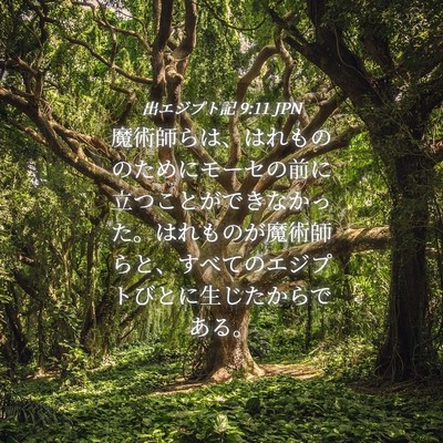 Picture 04 - 出エジプト記 9:11 JPN - 魔術師らは、はれもののためにモー - Bible Verse Picture