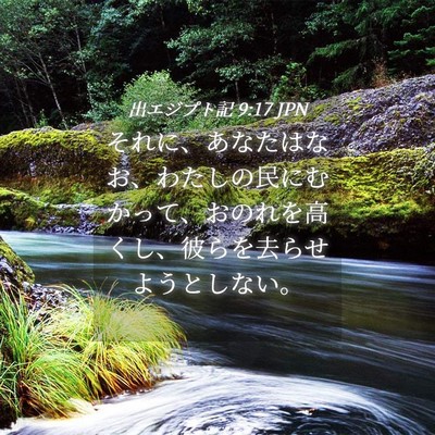 Picture 04 - 出エジプト記 9:17 JPN - それに、あなたはなお、わたしの民 - Bible Verse Picture