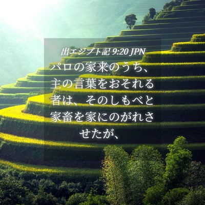 Picture 04 - 出エジプト記 9:20 JPN - パロの家来のうち、主の言葉をおそ - Bible Verse Picture