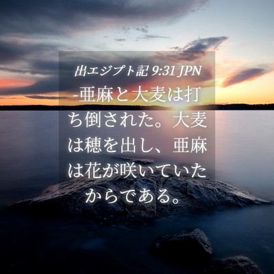 Picture 04 - 出エジプト記 9:31 JPN - -亜麻と大麦は打ち倒された。大麦は - Bible Verse Picture