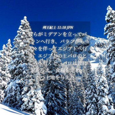 Picture 04 - 列王紀上 11:18 JPN - 彼らがミデアンを立ってパランへ行 - Bible Verse Picture