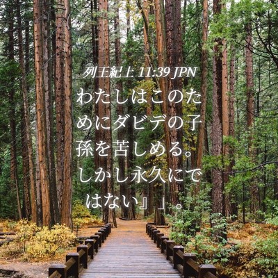 Picture 04 - 列王紀上 11:39 JPN - わたしはこのためにダビデの子孫を - Bible Verse Picture