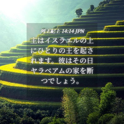 Picture 04 - 列王紀上 14:14 JPN - 主はイスラエルの上にひとりの王を - Bible Verse Picture