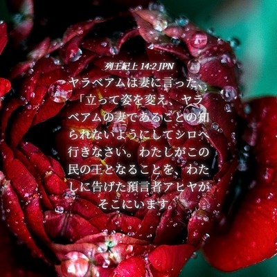 Picture 04 - 列王紀上 14:2 JPN - ヤラベアムは妻に言った、「立って - Bible Verse Picture