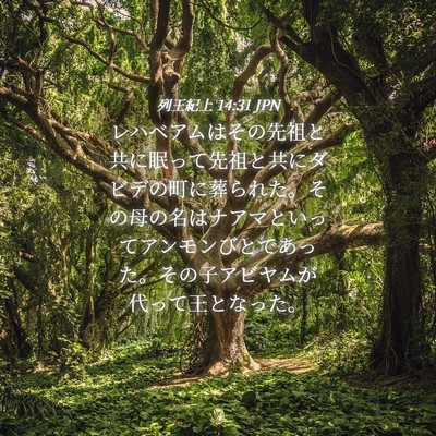 Picture 04 - 列王紀上 14:31 JPN - レハベアムはその先祖と共に眠って - Bible Verse Picture