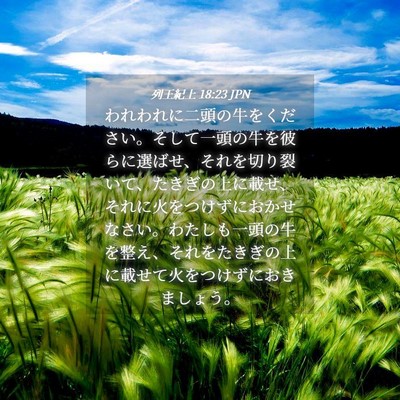 Picture 04 - 列王紀上 18:23 JPN - われわれに二頭の牛をください。そ - Bible Verse Picture