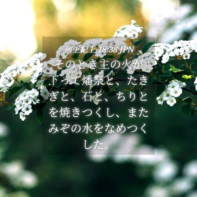 Picture 04 - 列王紀上 18:38 JPN - そのとき主の火が下って燔祭と、た - Bible Verse Picture