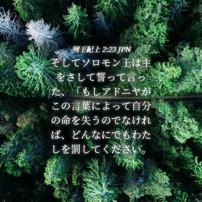 Picture 04 - 列王紀上 2:23 JPN - そしてソロモン王は主をさして誓っ - Bible Verse Picture