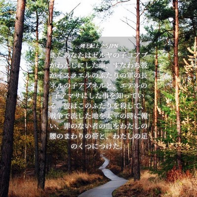 Picture 04 - 列王紀上 2:5 JPN - またあなたはゼルヤの子ヨアブがわ - Bible Verse Picture
