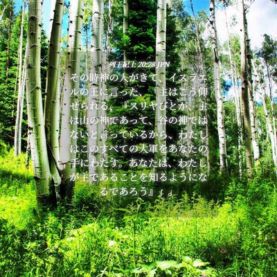 Picture 04 - 列王紀上 20:28 JPN - その時神の人がきて、イスラエルの - Bible Verse Picture