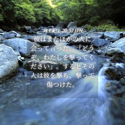 Picture 04 - 列王紀上 20:37 JPN - 彼はまたほかの人に会って言った、 - Bible Verse Picture