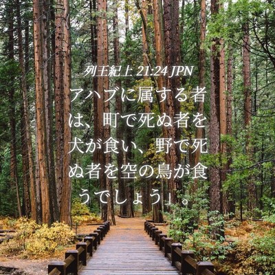 Picture 04 - 列王紀上 21:24 JPN - アハブに属する者は、町で死ぬ者を - Bible Verse Picture