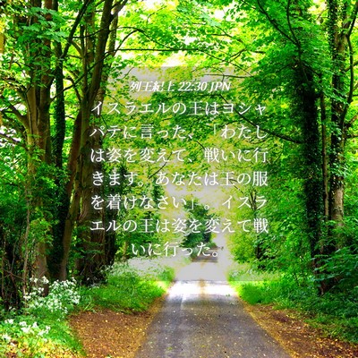 Picture 04 - 列王紀上 22:30 JPN - イスラエルの王はヨシャパテに言っ - Bible Verse Picture