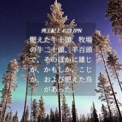 Picture 04 - 列王紀上 4:23 JPN - 肥えた牛十頭、牧場の牛二十頭、羊 - Bible Verse Picture