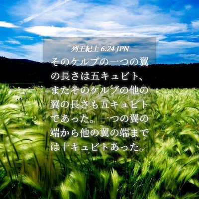 Picture 04 - 列王紀上 6:24 JPN - そのケルブの一つの翼の長さは五キ - Bible Verse Picture