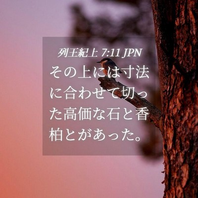 Picture 04 - 列王紀上 7:11 JPN - その上には寸法に合わせて切った高 - Bible Verse Picture