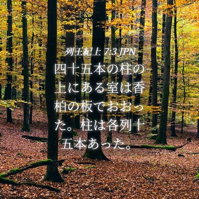 Picture 04 - 列王紀上 7:3 JPN - 四十五本の柱の上にある室は香柏の - Bible Verse Picture