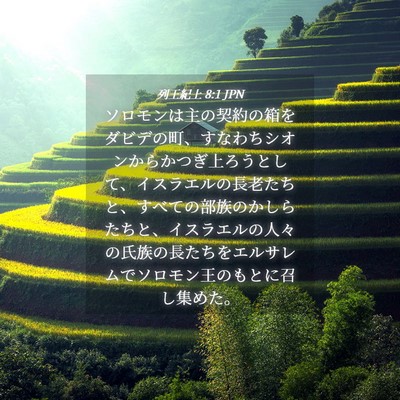 Picture 04 - 列王紀上 8:1 JPN - ソロモンは主の契約の箱をダビデの - Bible Verse Picture