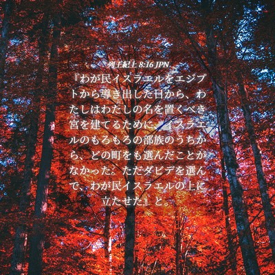 Picture 04 - 列王紀上 8:16 JPN - 『わが民イスラエルをエジプトから - Bible Verse Picture