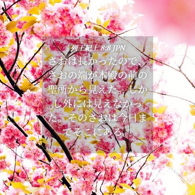 Picture 04 - 列王紀上 8:8 JPN - さおは長かったので、さおの端が本 - Bible Verse Picture