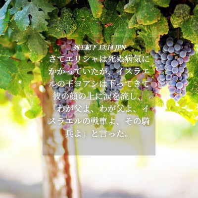 Picture 04 - 列王紀下 13:14 JPN - さてエリシャは死ぬ病気にかかって - Bible Verse Picture