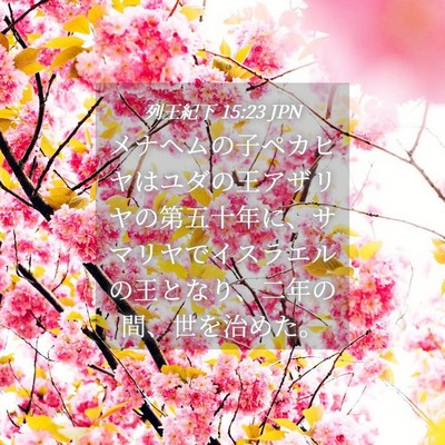 Picture 04 - 列王紀下 15:23 JPN - メナヘムの子ペカヒヤはユダの王ア - Bible Verse Picture