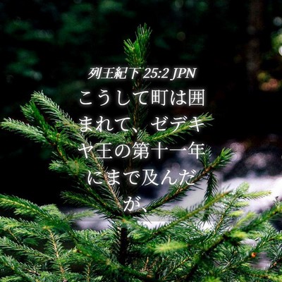 Picture 04 - 列王紀下 25:2 JPN - こうして町は囲まれて、ゼデキヤ王 - Bible Verse Picture