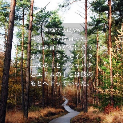 Picture 04 - 列王紀下 3:12 JPN - ヨシャパテは言った、「主の言葉が - Bible Verse Picture