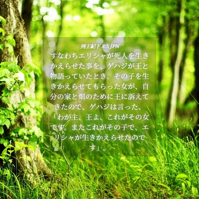 Picture 04 - 列王紀下 8:5 JPN - すなわちエリシャが死人を生きかえ - Bible Verse Picture