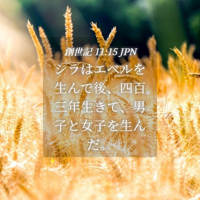 Picture 04 - 創世記 11:15 JPN - シラはエベルを生んで後、四百三年 - Bible Verse Picture