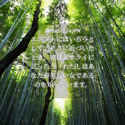 Picture 04 - 創世記 12:11 JPN - エジプトにはいろうとして、そこに - Bible Verse Picture