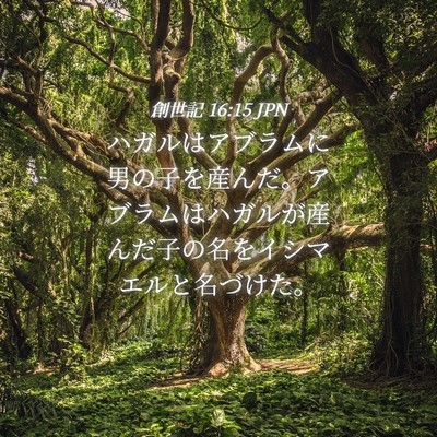 Picture 04 - 創世記 16:15 JPN - ハガルはアブラムに男の子を産んだ - Bible Verse Picture