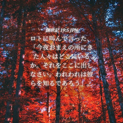 Picture 04 - 創世記 19:5 JPN - ロトに叫んで言った、「今夜おまえ - Bible Verse Picture