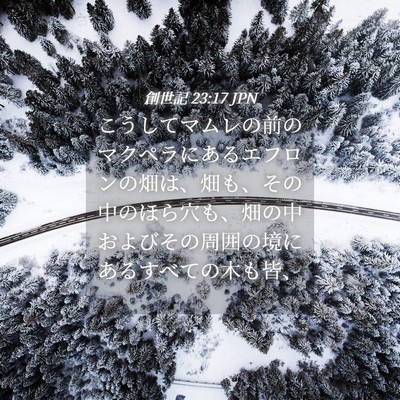 Picture 04 - 創世記 23:17 JPN - こうしてマムレの前のマクペラにあ - Bible Verse Picture
