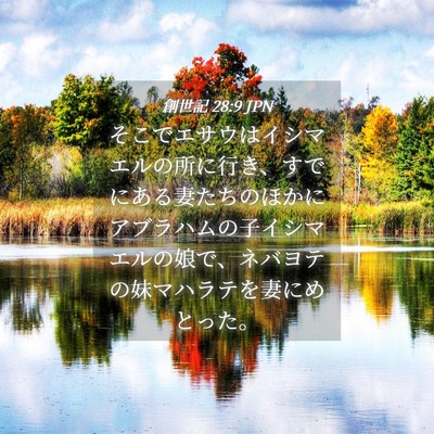 Picture 04 - 創世記 28:9 JPN - そこでエサウはイシマエルの所に行 - Bible Verse Picture
