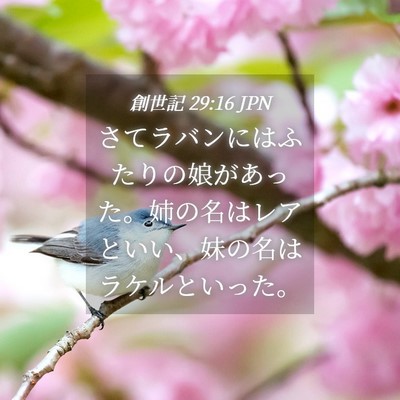 Picture 04 - 創世記 29:16 JPN - さてラバンにはふたりの娘があった - Bible Verse Picture
