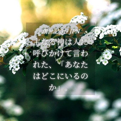 Picture 04 - 創世記 3:9 JPN - 主なる神は人に呼びかけて言われた - Bible Verse Picture