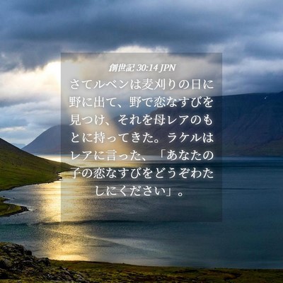 Picture 04 - 創世記 30:14 JPN - さてルベンは麦刈りの日に野に出て - Bible Verse Picture