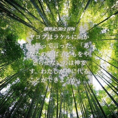 Picture 04 - 創世記 30:2 JPN - ヤコブはラケルに向かい怒って言っ - Bible Verse Picture