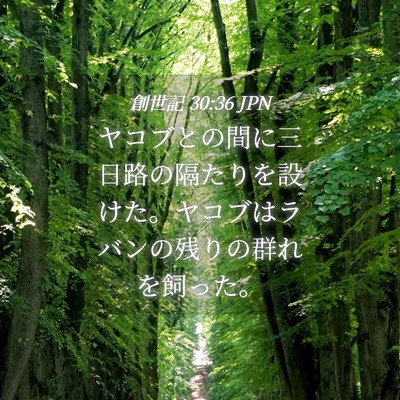 Picture 04 - 創世記 30:36 JPN - ヤコブとの間に三日路の隔たりを設 - Bible Verse Picture