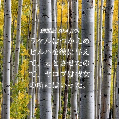 Picture 04 - 創世記 30:4 JPN - ラケルはつかえめビルハを彼に与え - Bible Verse Picture
