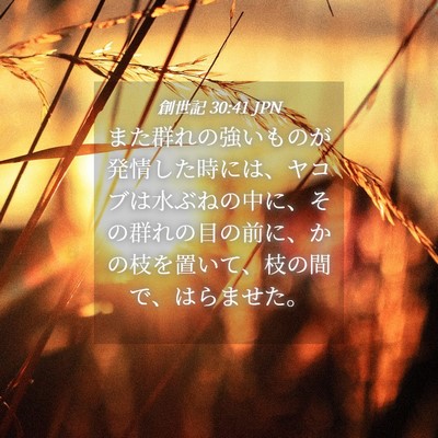 Picture 04 - 創世記 30:41 JPN - また群れの強いものが発情した時に - Bible Verse Picture
