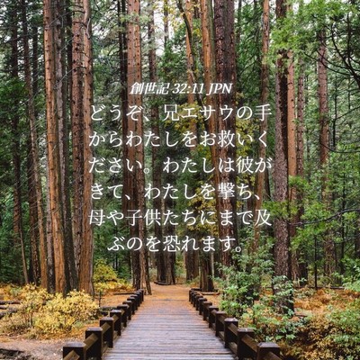 Picture 04 - 創世記 32:11 JPN - どうぞ、兄エサウの手からわたしを - Bible Verse Picture