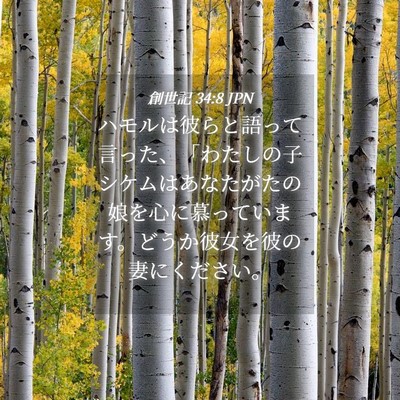 Picture 04 - 創世記 34:8 JPN - ハモルは彼らと語って言った、「わ - Bible Verse Picture