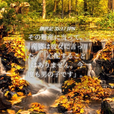 Picture 04 - 創世記 35:17 JPN - その難産に当って、産婆は彼女に言 - Bible Verse Picture