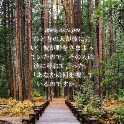 Picture 04 - 創世記 37:15 JPN - ひとりの人が彼に会い、彼が野をさ - Bible Verse Picture