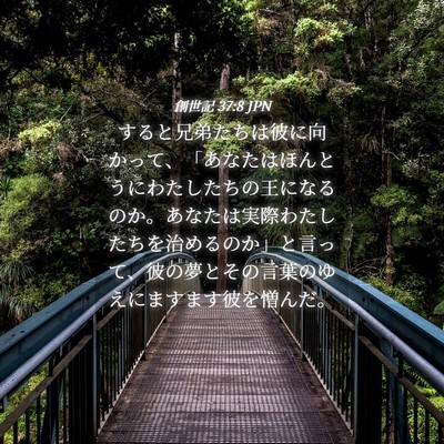 Picture 04 - 創世記 37:8 JPN - すると兄弟たちは彼に向かって、「 - Bible Verse Picture