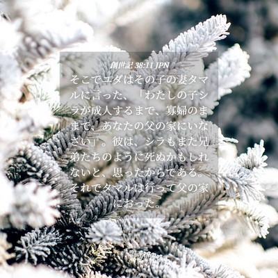 Picture 04 - 創世記 38:11 JPN - そこでユダはその子の妻タマルに言 - Bible Verse Picture